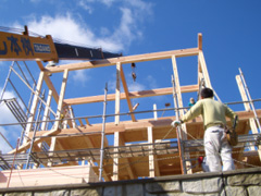 家の形があらわれて