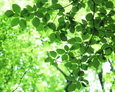 家づくりの流れ ご相談
